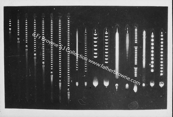 COPY NEG SCIENTIFIC DIAGRAM